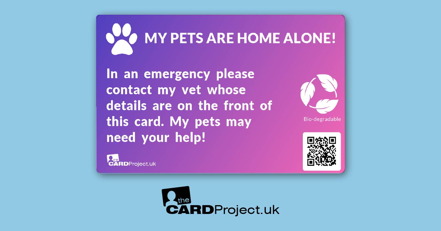 My Pets Are Home Alone Photo Card, Vet Contact Design (REAR)